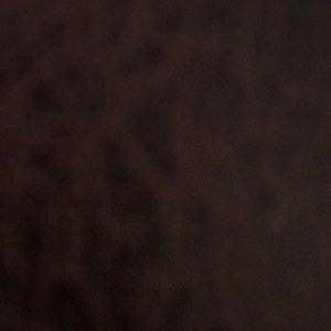 Meet your Posher, Jaden